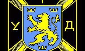 У Львові презентували книгу про подвиги вояків СС 