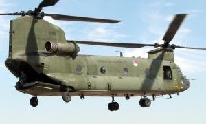 Найбільшого товстуна світу врятують ВПС Британії