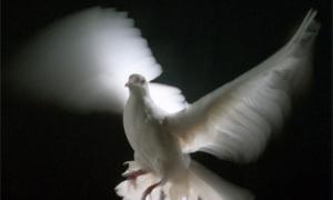 У Прибалтиці видають кредити під заставу людської душі