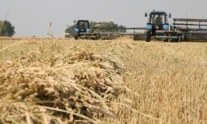 24 мільярди гривень - ціна питання весняно-польових робіт