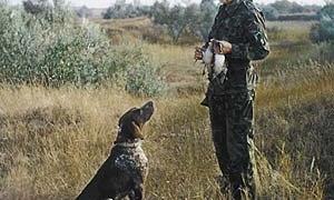 Волинський сезон полювання почнеться 8 листопада