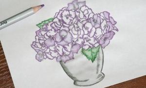 Нав'язлива звичка стимулює пам'ять