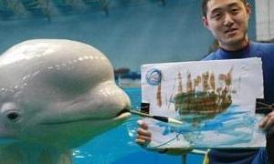 Кит-художник заробляє своїми малюнками сотні євро