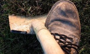 На Миколаївщині двоє братів закопали живцем злодійкуватого наймита