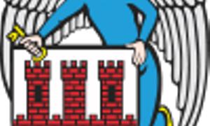 Торунь закупить для Луцька медприпаратів на 50 тисяч злотих