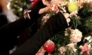 Українські дизайнери одягнули до свят ялинки