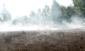 На Чернігівщині горить 25 гектарів торфовищ