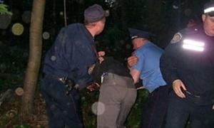 Харківські правозахисники поскаржилися з приводу вирубування дерев у ПАРЄ