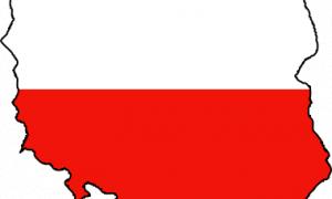 За посаду президента Польщі змагатимуться 10 претендентів