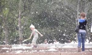 Маріуполь засипало пухом через аномальне цвітіння тополь