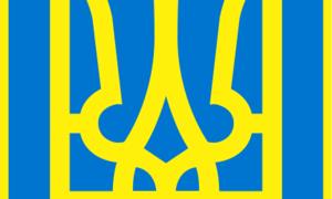 У Києві створено Національний комітет порятунку України