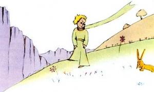 Французи знімуть «Маленького принца» в 3D