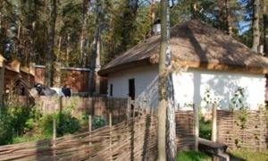 З карти України за час незалежності зникло більше 500 населених пунктів