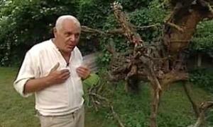 Помер всесвітньовідомий український режисер Юрій Ільєнко