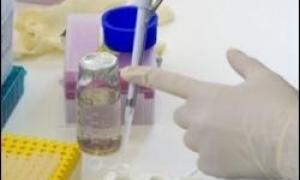 Учені з США оживили бактерії віком у 120 тисяч років