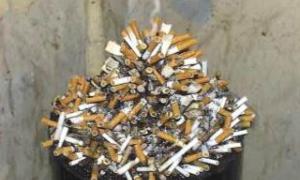 Шкідливі звички скорочують життя на 14 років