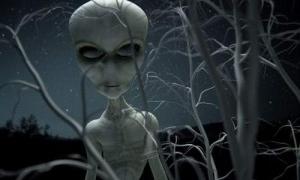 Шукати інопланетян треба на Землі