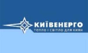У столиці бійці МНС врятували будівлю «Київенерго» від нападу ос