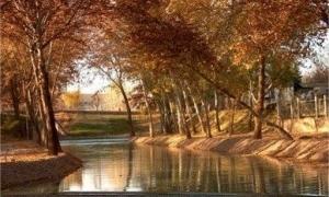 Завтра по всій території України мінлива хмарність, без опадів