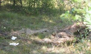 На Волині знайшли труп півмісячної давності (оновлено)