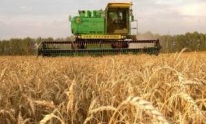 Українські фермери вимагають не запроваджувати квот на експорт зерна