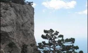 У Севастополі зірвались зі скелі двоє людей