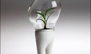 Прикрасьте робочий стіл кактусом-тамагочі Domsai 