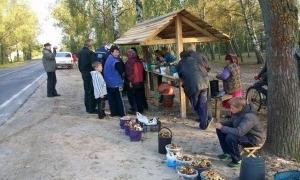 Дев’ятеро волинян отруїлися грибами з початку сезону