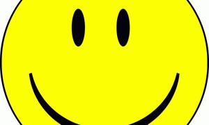 Радість від шлюбу прирівнюється до покупки нової машини