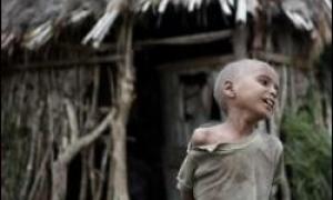 Україна передала голодуючій Ефіопії 1000 тонн пшениці