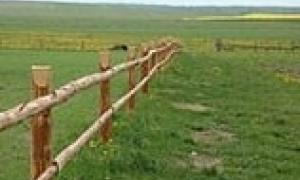 ВР дозволила примусово відбирати землю в українців