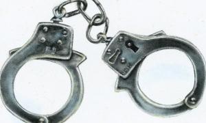 Харківські противники вирубки насаджень прикували себе до дерев