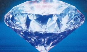 Собака з'їв діамант вартістю 20 тисяч доларів