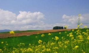 Синоптики обіцяють на вихідні до +37