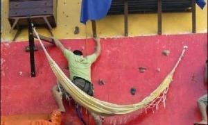 Бразилійські художники оселились на стіні галереї