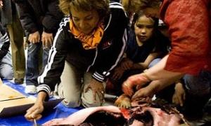 Ексцентрична губернаторка Канади публічно з'їла сире м'ясо тюленя, підтримуючи ескімосів