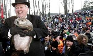 Бабака-провісника Філа хотіли замінити роботом