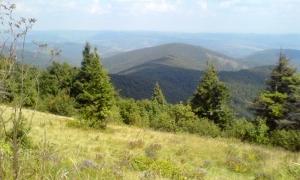 Дві іноземні компанії хочуть будувати Бескидський тунель