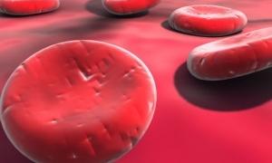 Ліки від раку крові таки є