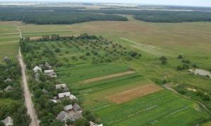 Працівники УМВС виявили незаконні посіви маку та коноплі з висоти пташиного польоту