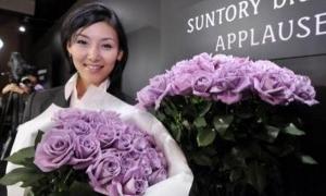 Японці виростили блакитні троянди