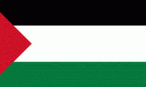 Франція може визнати незалежність Палестини до визначення кордонів країни