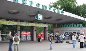 Директора Київського зоопарку усунули з посади