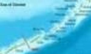 Японський парламент визнав Курили територією Японії