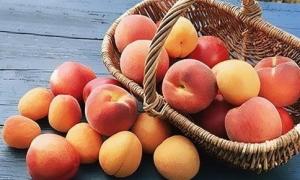 Україні загрожує дефіцит фруктів