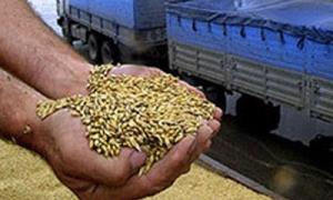 На Волині визначили хто зберігатиме страхові запаси зерна