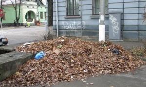 На Дніпропетровщині з опалого листя робитимуть добриво