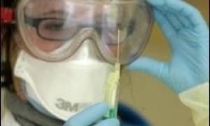 У Росії набирають добровольців для інфікування свинячим грипом