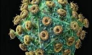 В Ізраїлі з'явився рідкісний штам ВІЛ