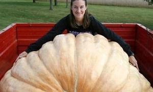 Вчителька виростила 782-кілограмовий гарбуз